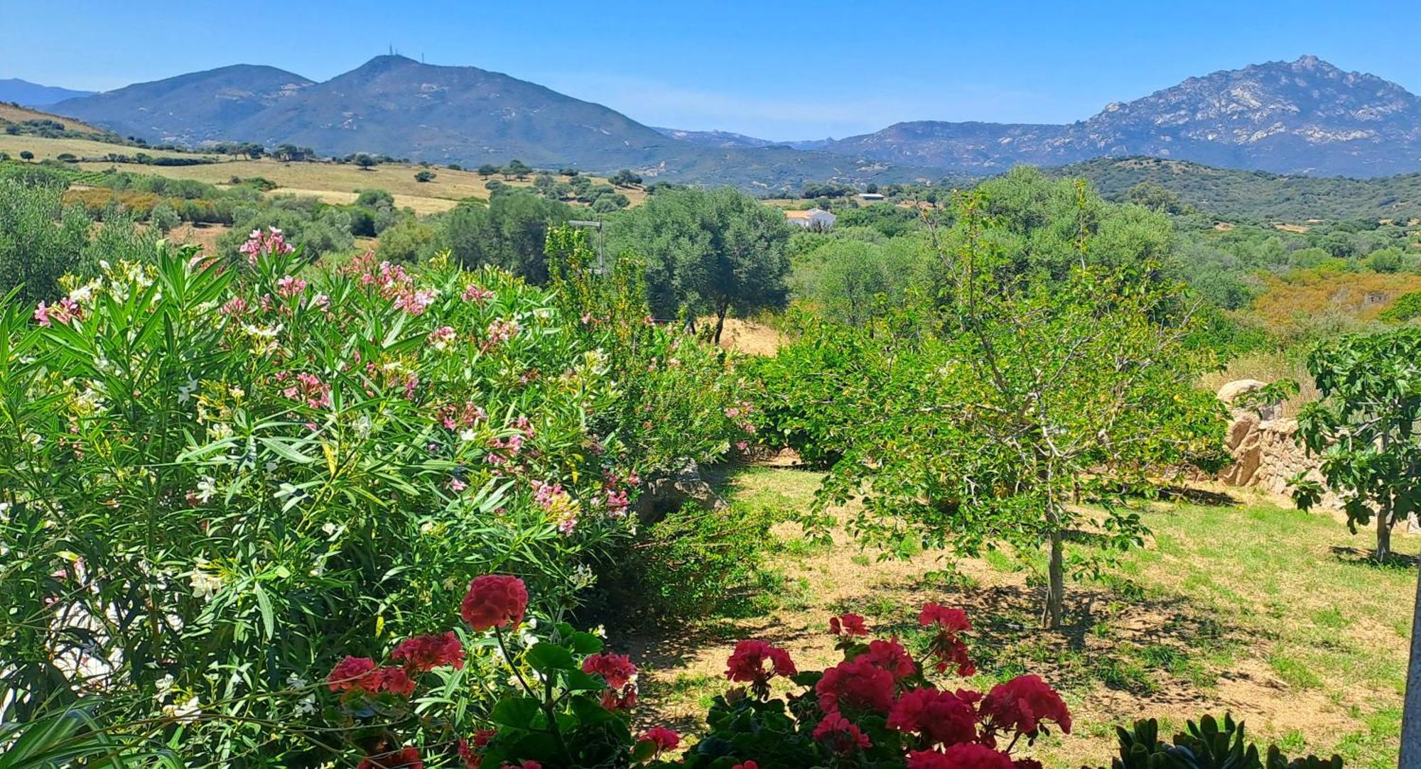 הוילה Rudalza Casa Sole חדר תמונה